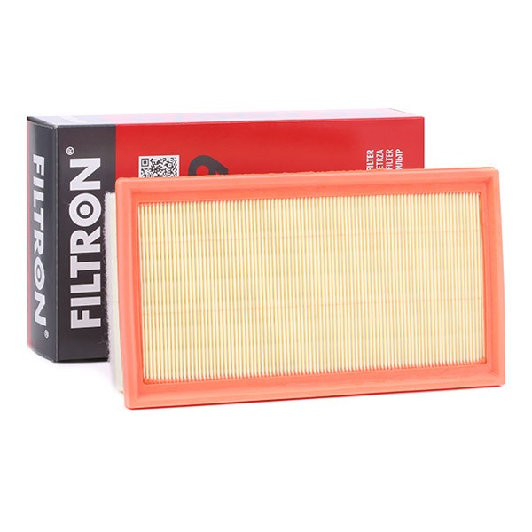 Купити AP0909 Filtron Автомобільний фільтр повітря