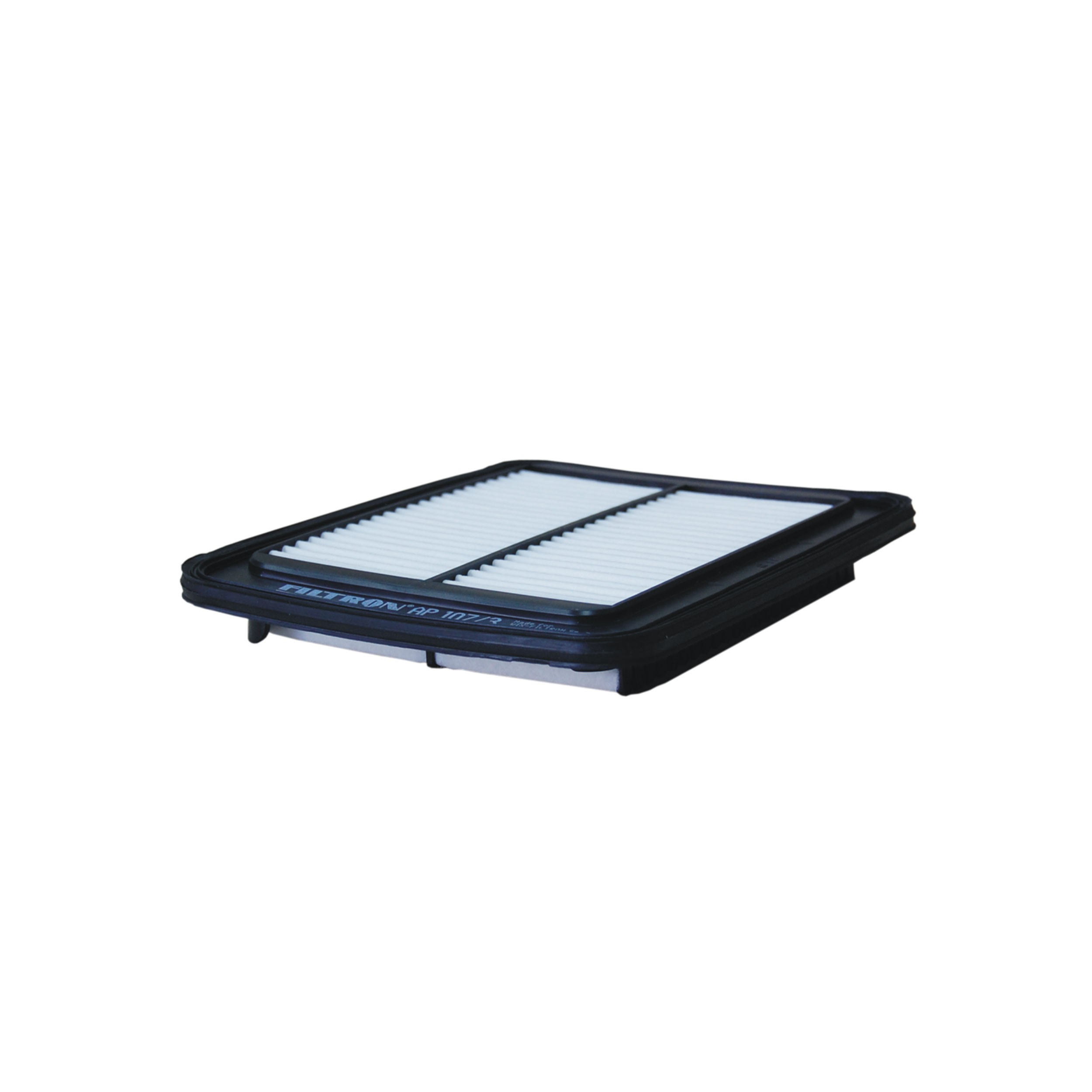 Купити AP1073 Filtron Автомобільний фільтр повітря