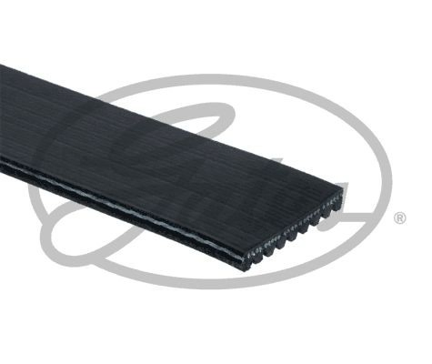Клиновий ремінь MAZ 6501308020 ціна, від 28.19 USD