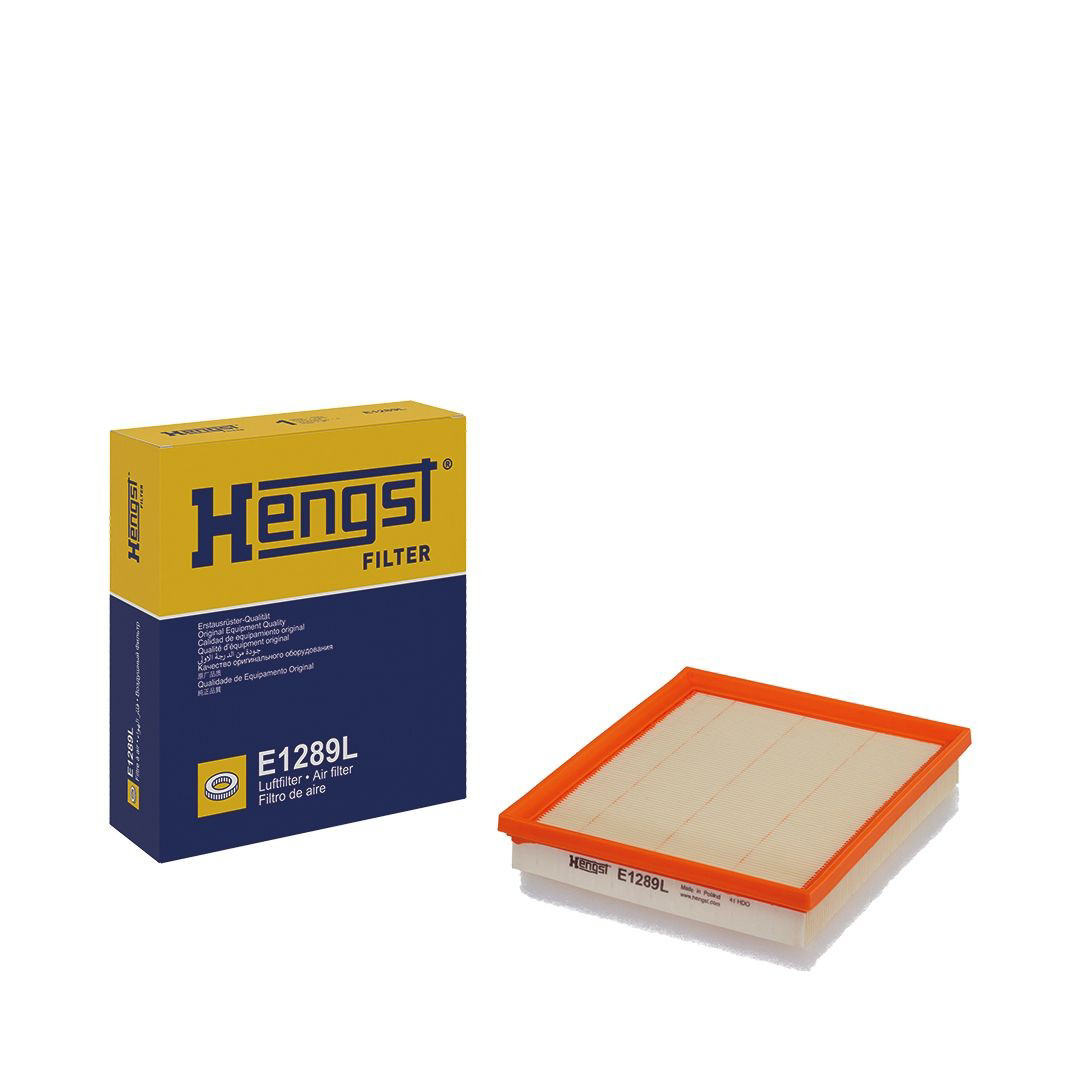 Елемент повітряного фільтра Hengst E1289L ціна, від 10.91 USD