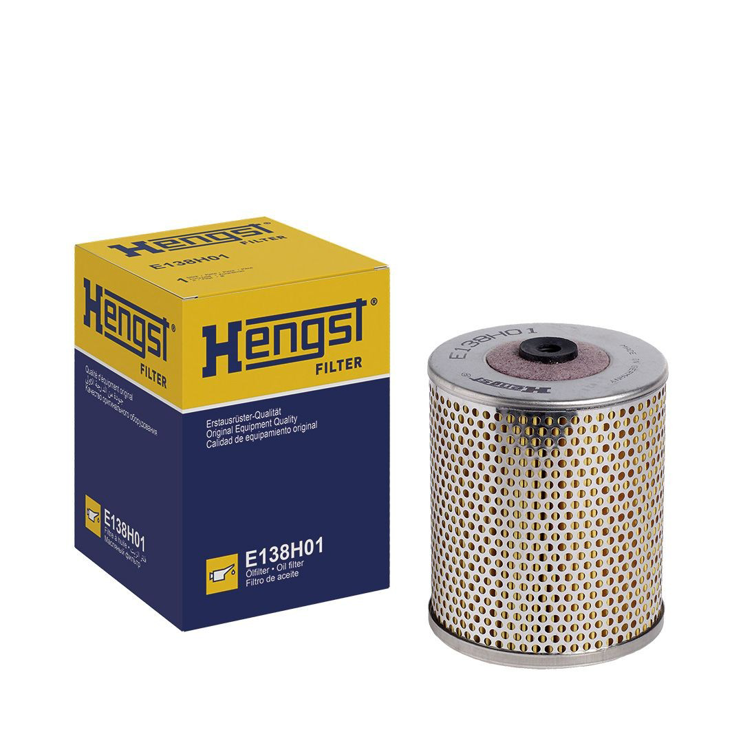 E138H01 Hengst 