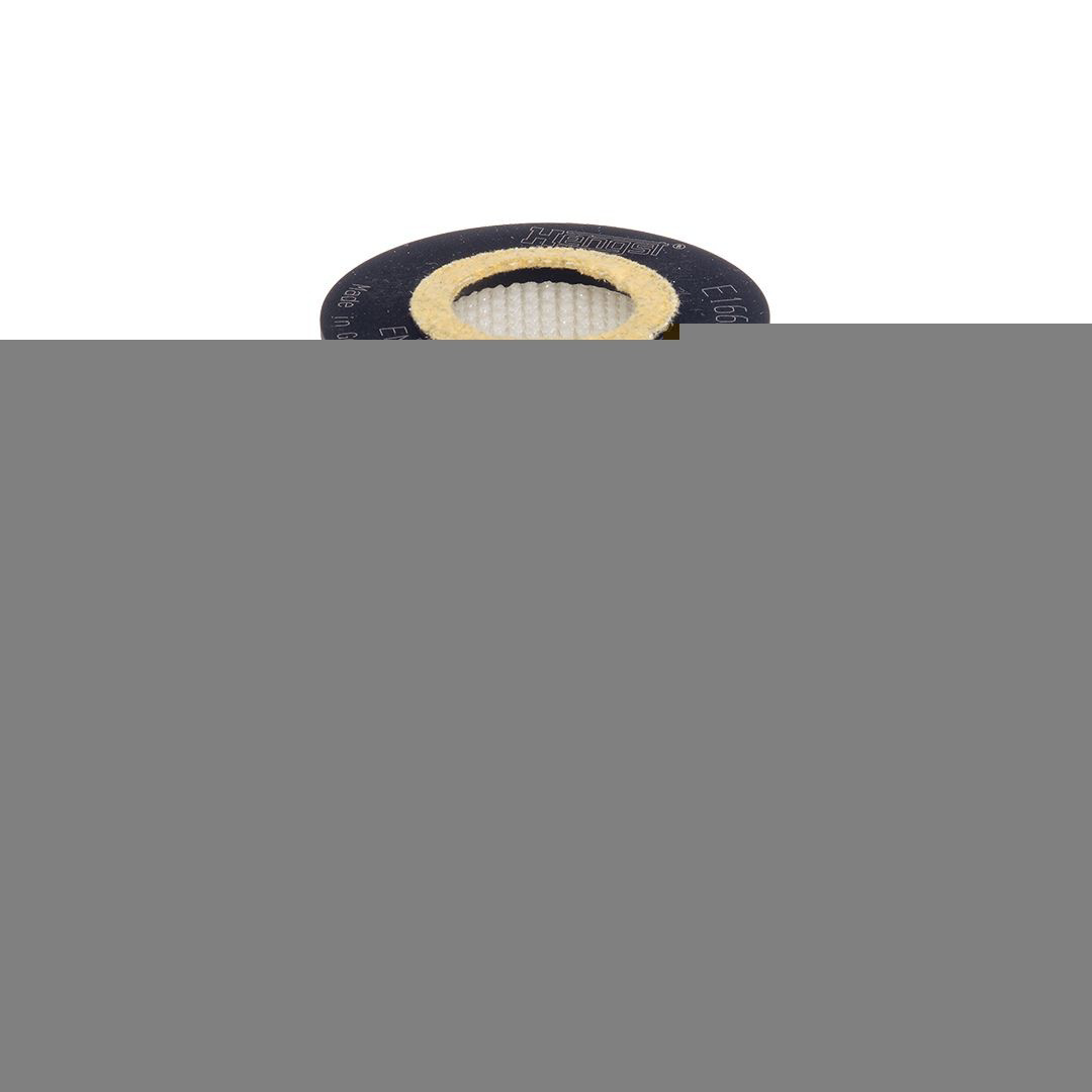 Масляний фільтр двигуна Hengst E166HD538 ціна, від 21.32 USD
