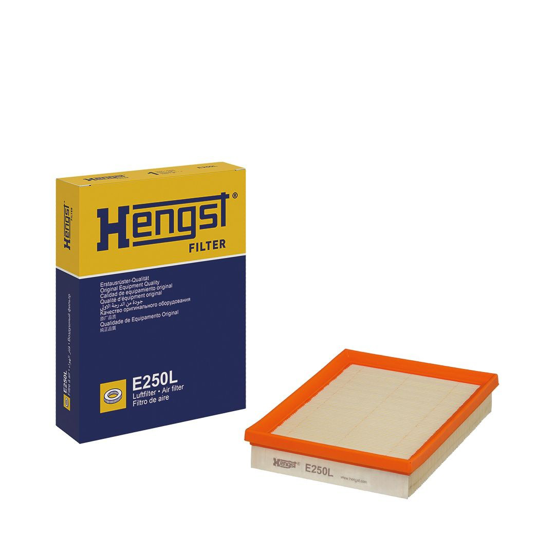 Елемент повітряного фільтра Hengst E250L ціна, від 3.43 USD
