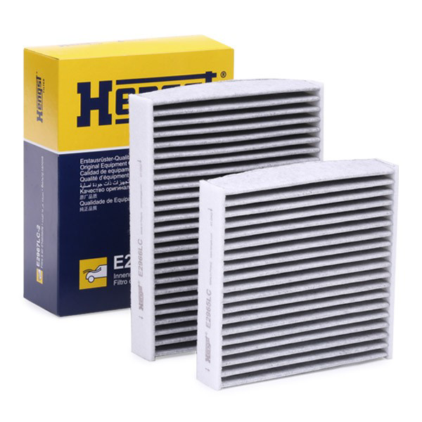 Купити E2967LC2 Hengst Фільтр салону вугільний