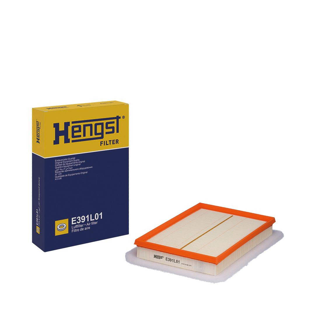 Елемент повітряного фільтра Hengst E391L01 ціна, від 6.96 USD