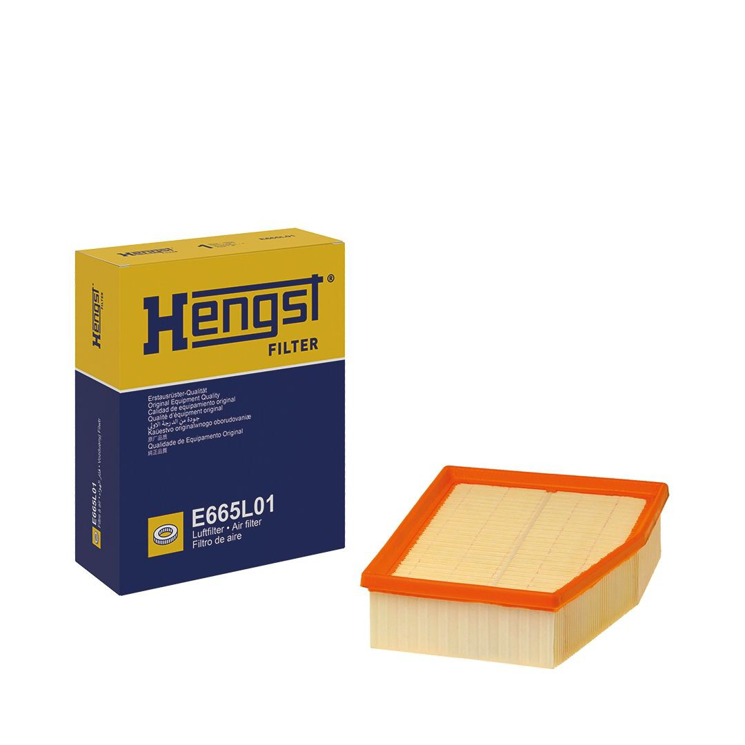 Елемент повітряного фільтра Hengst E665L01 ціна, від 16.18 USD