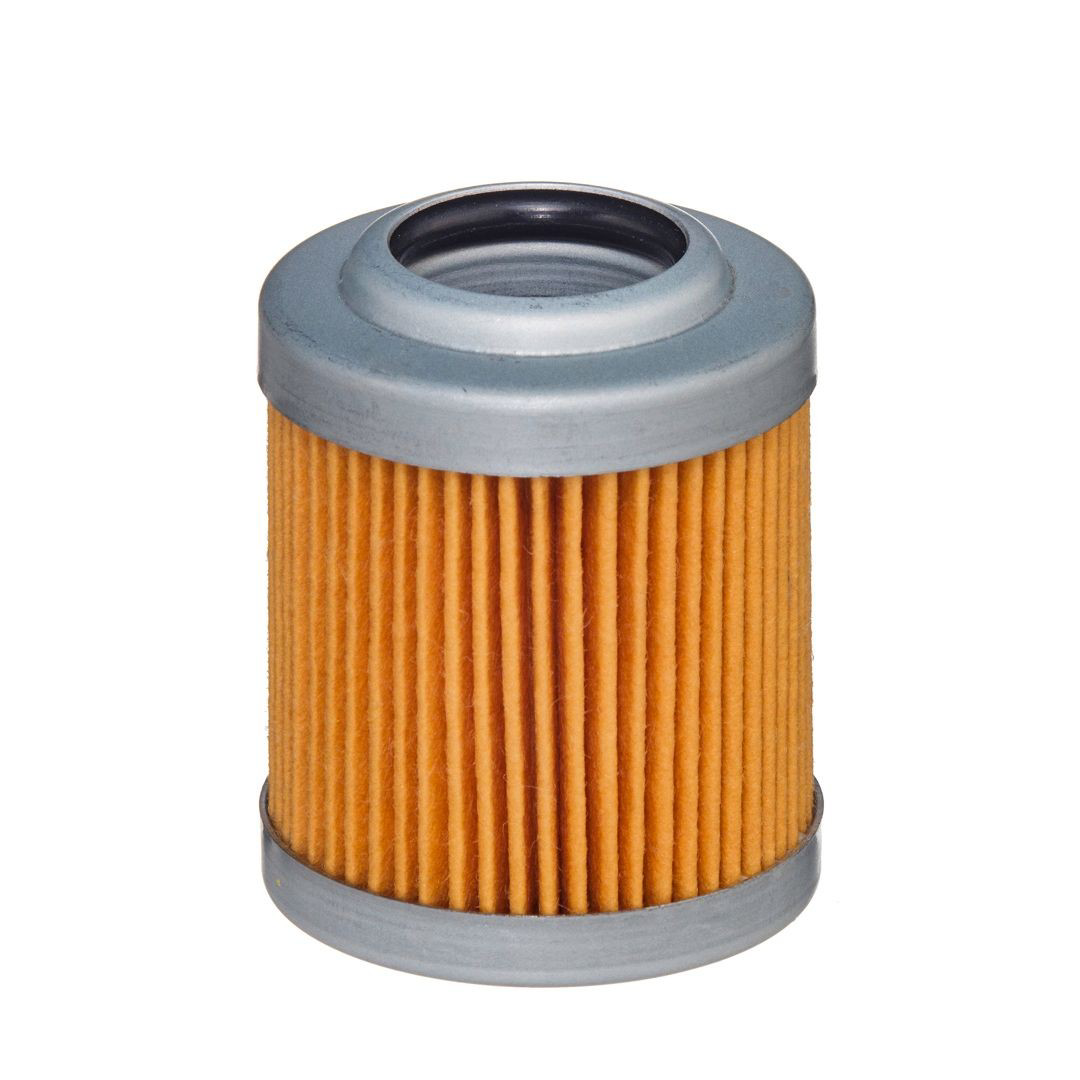 EY1007HD577 Hengst 