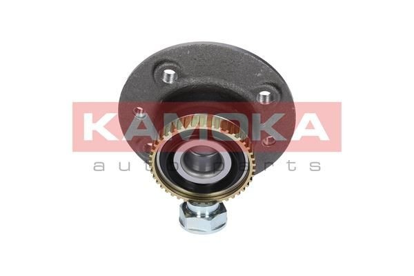 Задня маточина 5500001 Kamoka