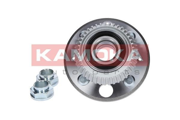 Задня маточина 5500146 Kamoka