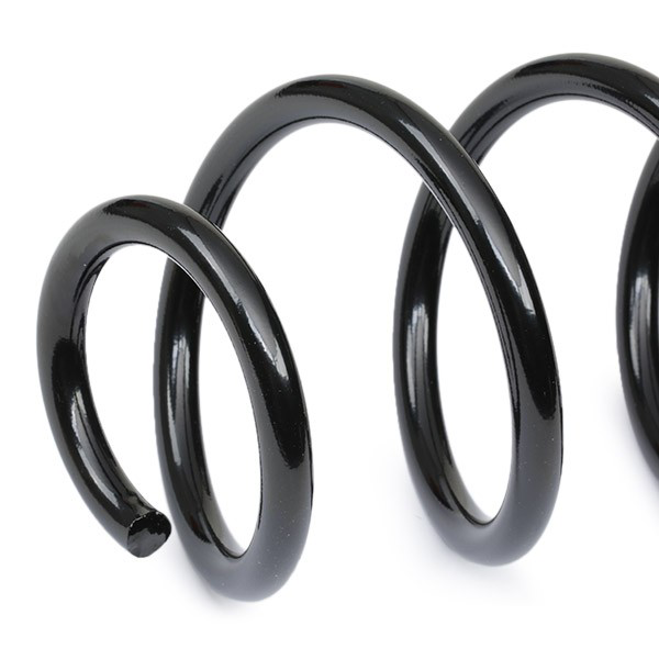 Задні пружини RA5007 Kayaba