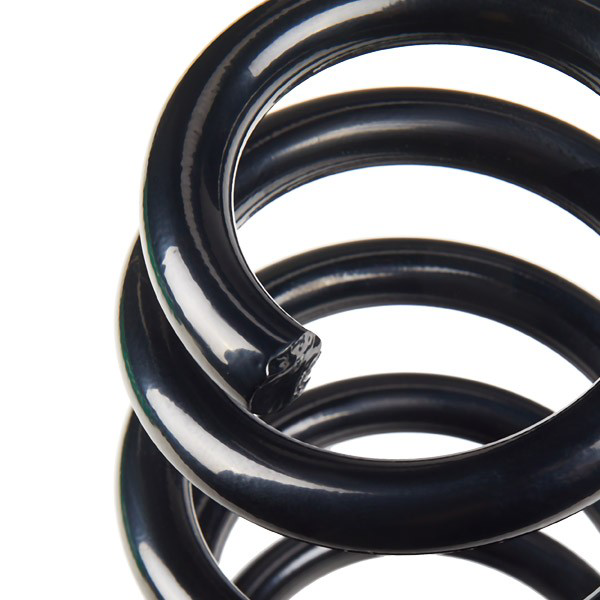 Пружина задня Kayaba RA5228 ціна, від 44.43 USD