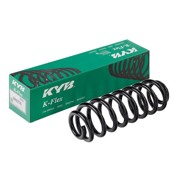 Купити RA6236 Kayaba Задні пружини