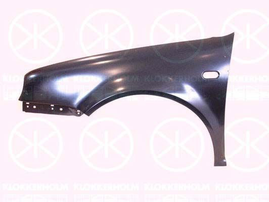 Крило переднє праве Volkswagen Golf IV універсал (1J5) (1999 - 2006) ціна, від 40.03 USD