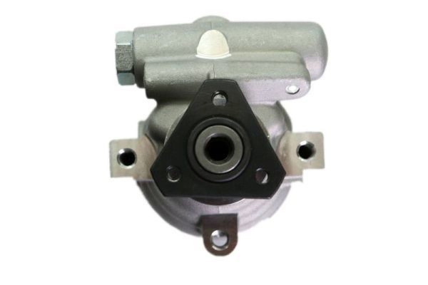 Купити 559105 Lauber Насос гідравліки