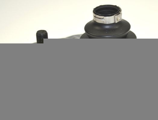 304953 Loebro Пильник ШРУСа зовнішній, передній піввісі