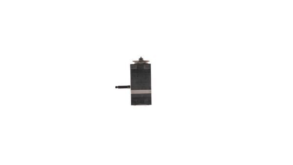 AVE211000P Mahle Original Клапан розширювальний