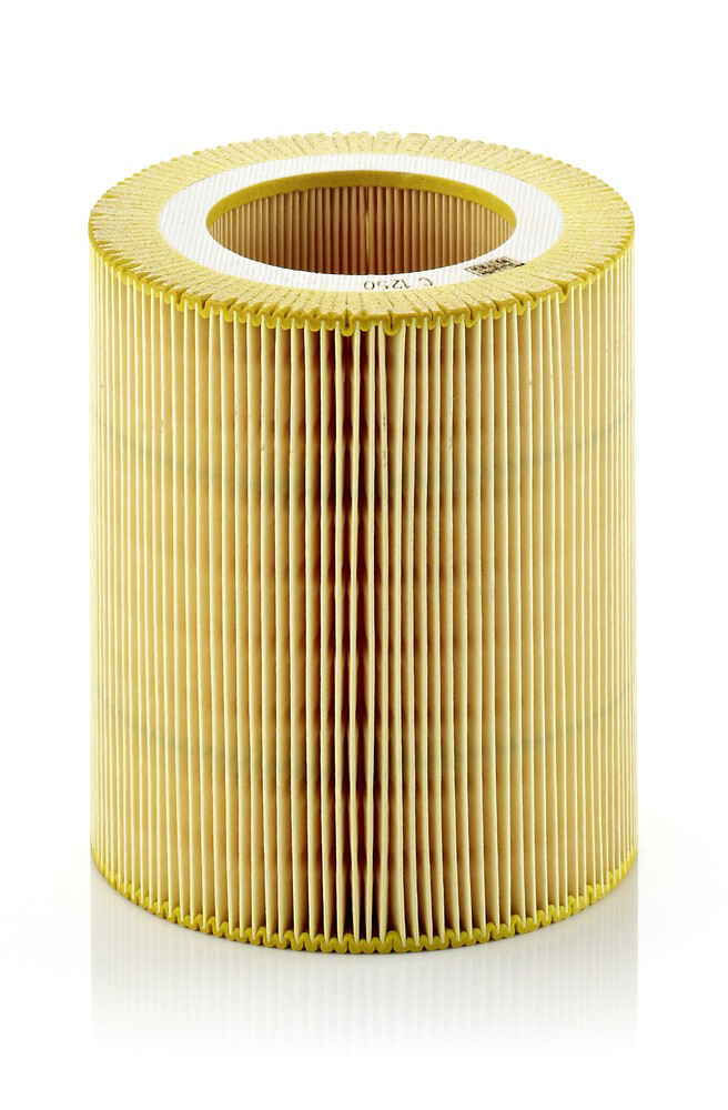 C1250 Mann-Filter Повітряний фільтр двигуна