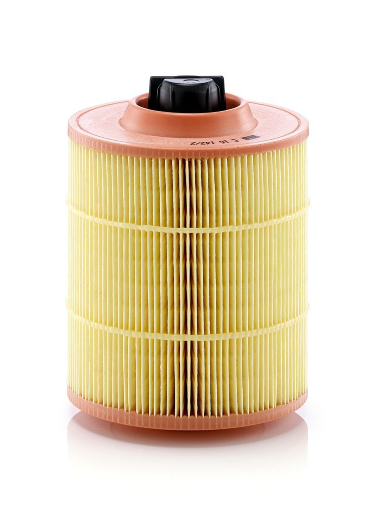 Повітряний фільтр C161422 Mann-Filter