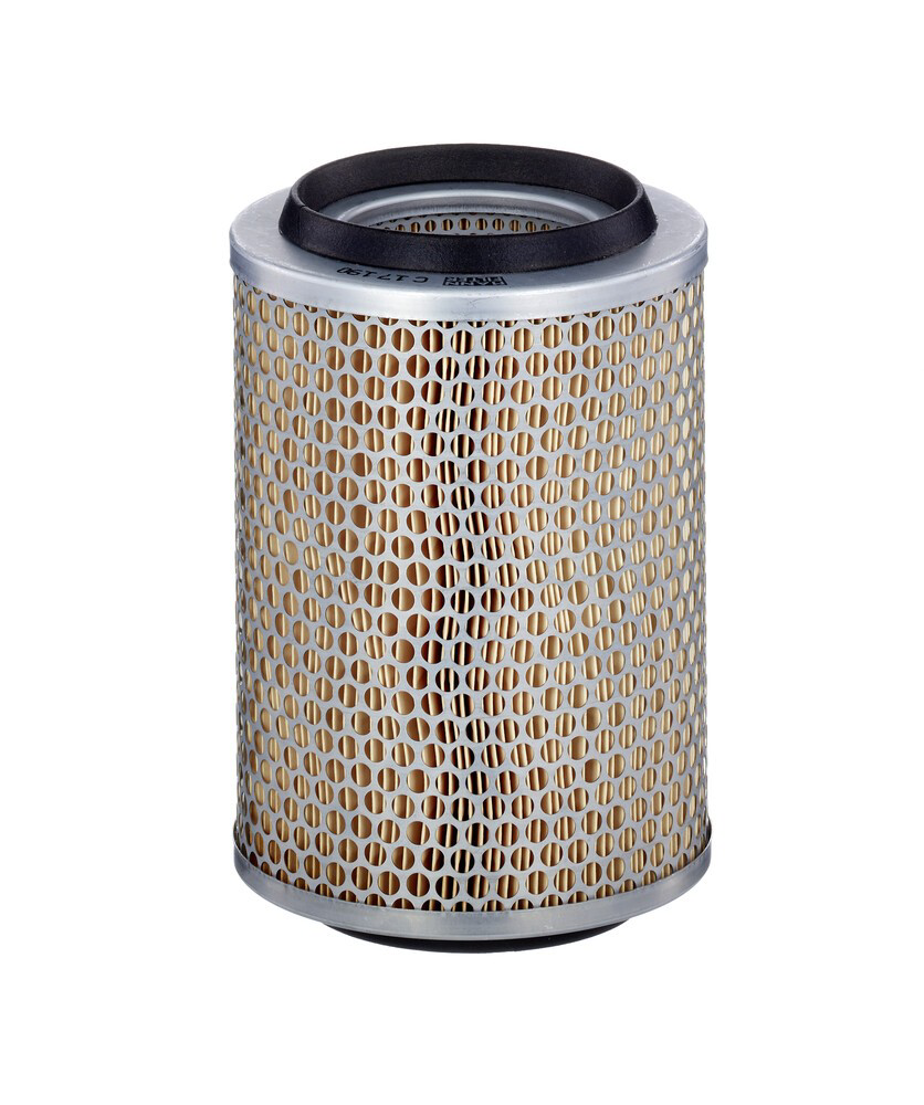 Купити C17190 Mann-Filter Автомобільний фільтр повітря