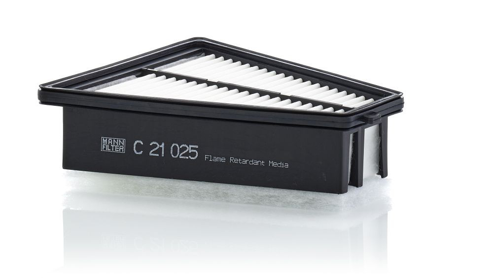 Купити C21025 Mann-Filter Автомобільний фільтр повітря