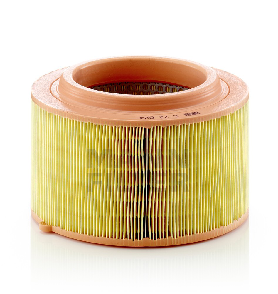 Елемент повітряного фільтра Mann-Filter C22024 ціна, від 19.44 USD