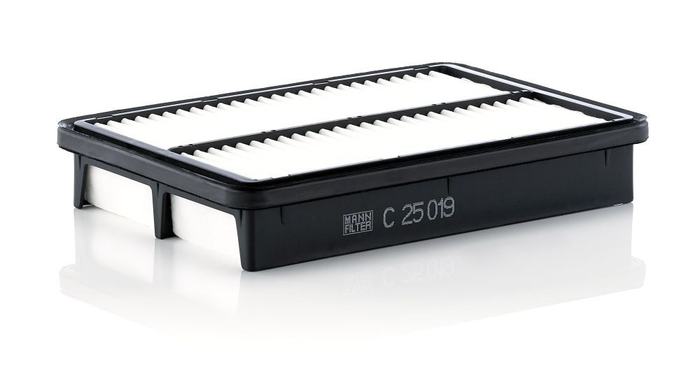 Купити C25019 Mann-Filter Автомобільний фільтр повітря