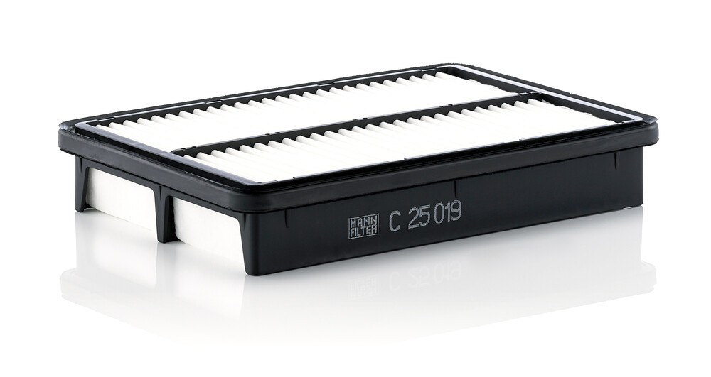 C25019 Mann-Filter Повітряний фільтр двигуна
