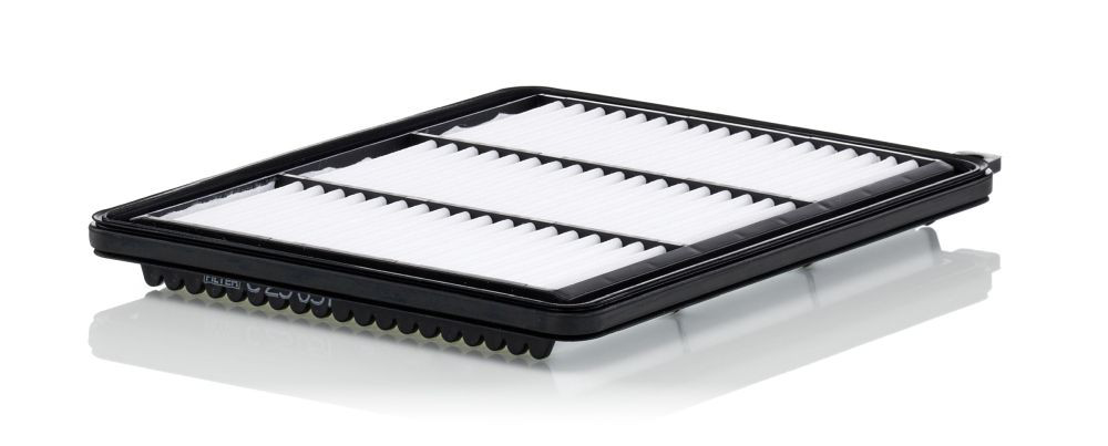 Повітряний фільтр C25051 Mann-Filter
