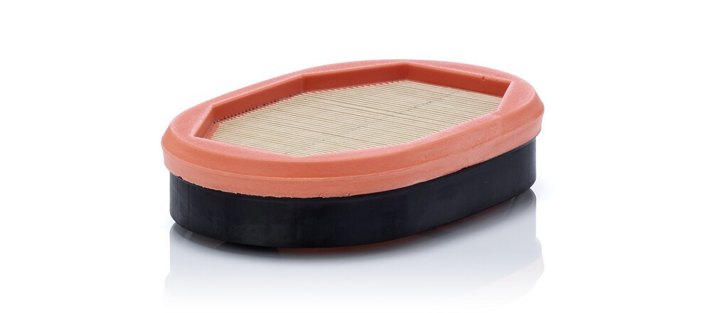CF2135 Mann-Filter Фільтр повітряний насосу подачі вторинного повітря