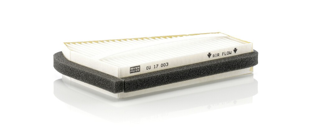 AC14111 Smartex Внутрішньосалонний фільтр