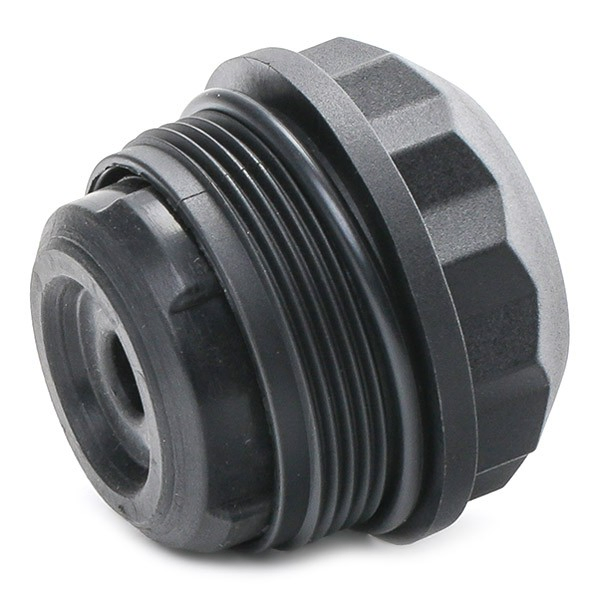 Купити 120359 Borg-Warner Фільтр заднього редуктора, муфти Haldex