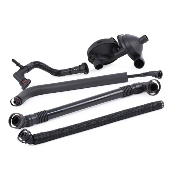 Клапан ВКГ Maxgear 280252SET