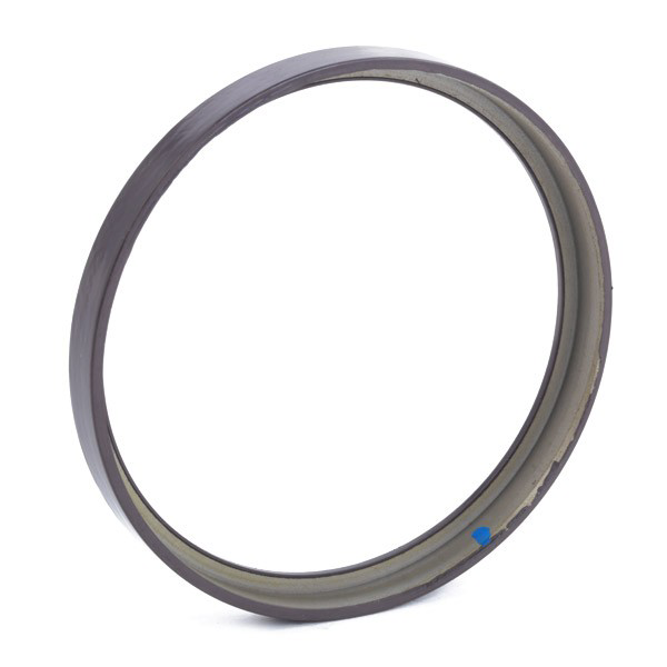 Кільце АБС (ABS) 52927003 AND