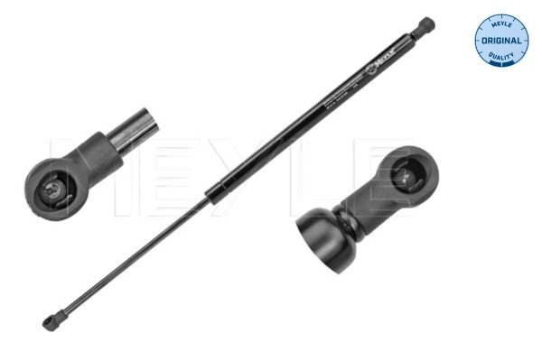 Купити Амортизатор багажника Renault Modus  JP0