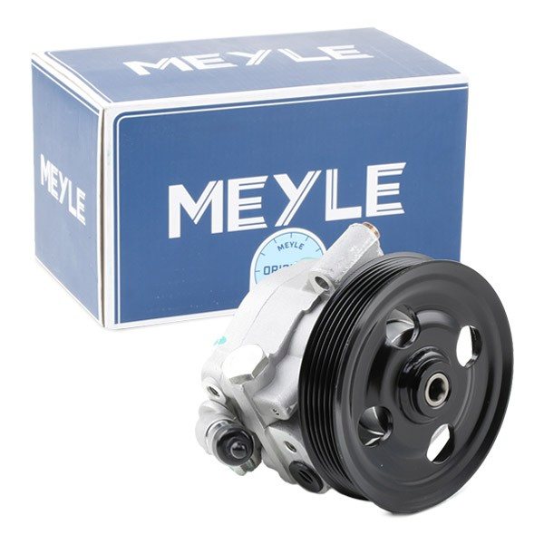 Насос ГУР 7146310029 Meyle