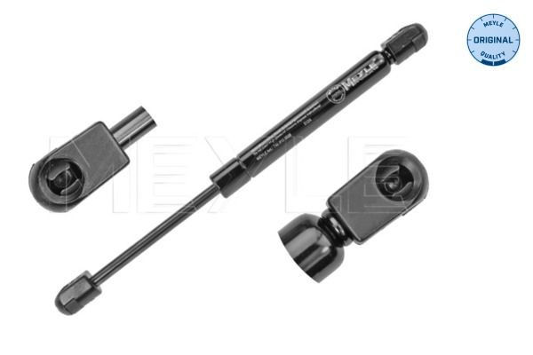 Амортизатор кришки багажника / двері 3/5-ї задньої на Ford Focus II DB, FCH, DH