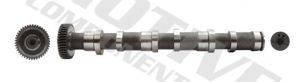 T072 Motive Шток двигуна, випускний, правий