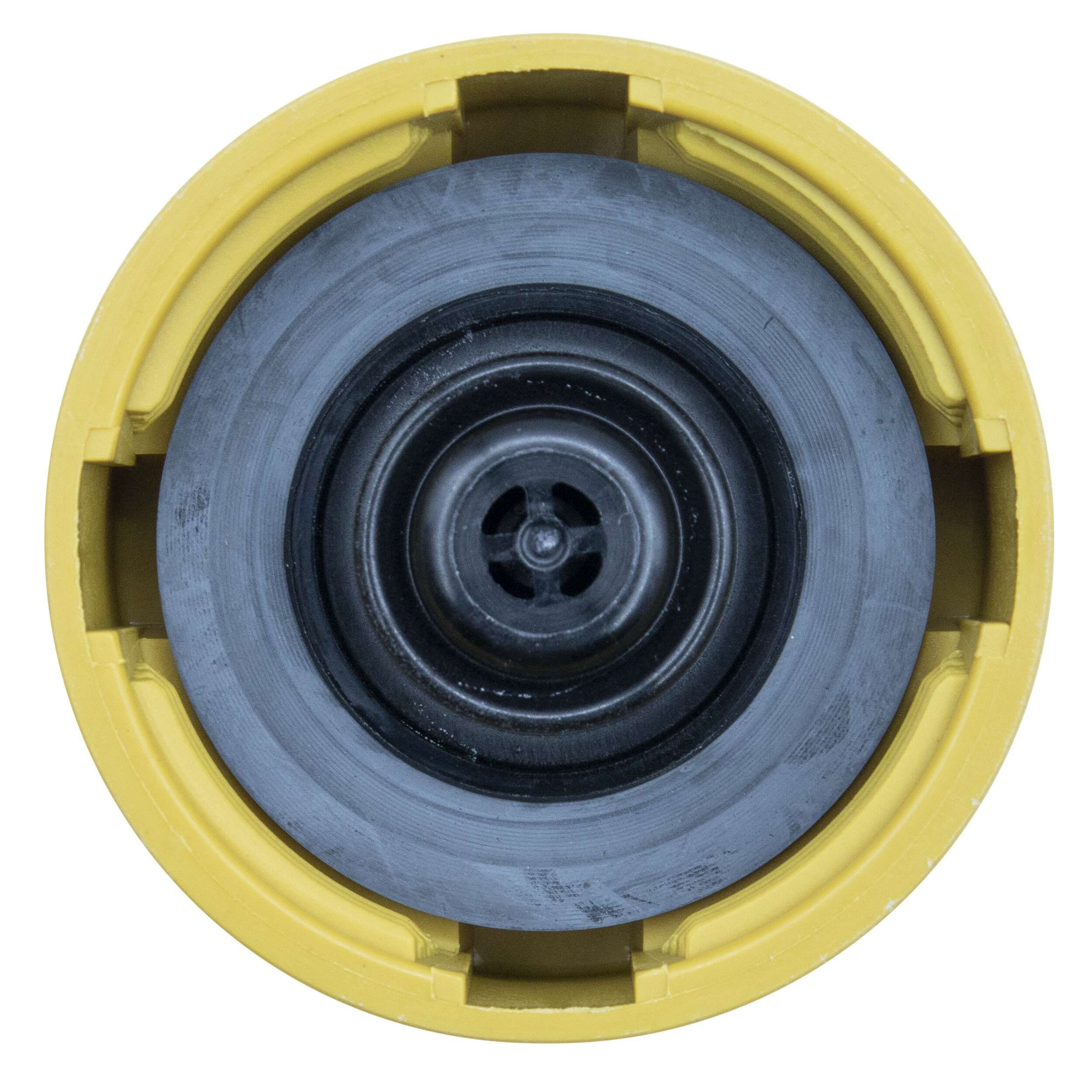 Купити Кришка розширювального бачка Renault 19 I B53, C53