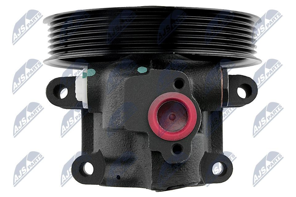 Насос ГУР SPWFR013 NTY