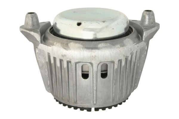 RH115009 Reinhoch Задня подушка двигуна