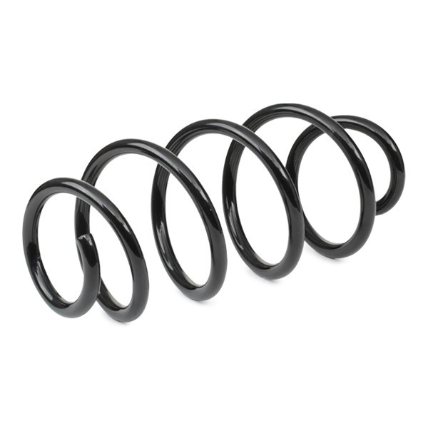 Пружина передня Sachs 993058 ціна, від 35.23 USD