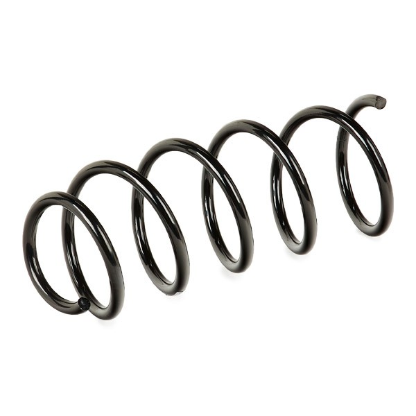Пружина передня Sachs 993624 ціна, від 27.98 USD