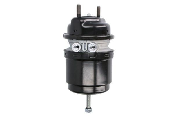 Купити 3987614 Volvo Камера гальмівна