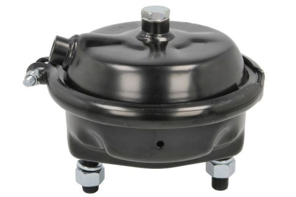 Камери пневматичного SBP 05BCT24K02 ціна, від 25.75 USD