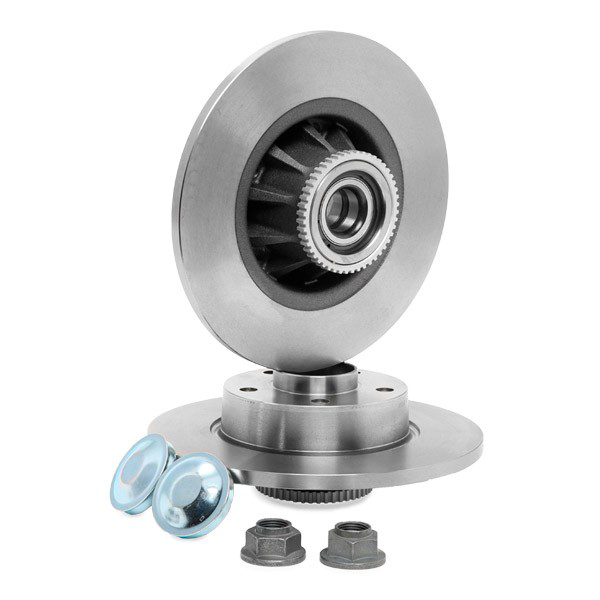 Купити VKBD1013 SKF Диск заднього гальма