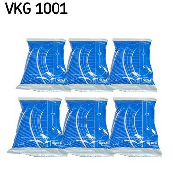 VKG1001 SKF 