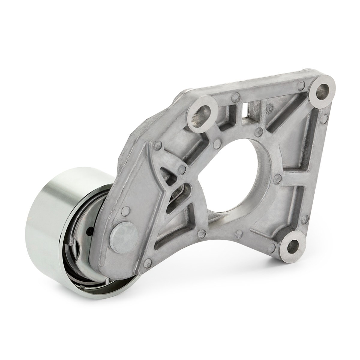VKM13902 SKF Натягувач ременя ГРМ