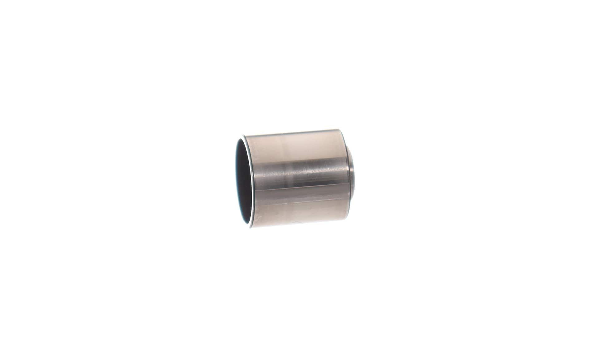 Купити VKM21012 SKF Ролик паразитний ГРМ