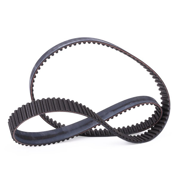 Ремкомплект ГРМ SKF VKMA02242