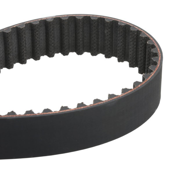 Ремкомплект ГРМ SKF VKMA06020